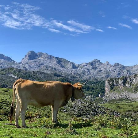 Apartmán Telena Onís Exteriér fotografie